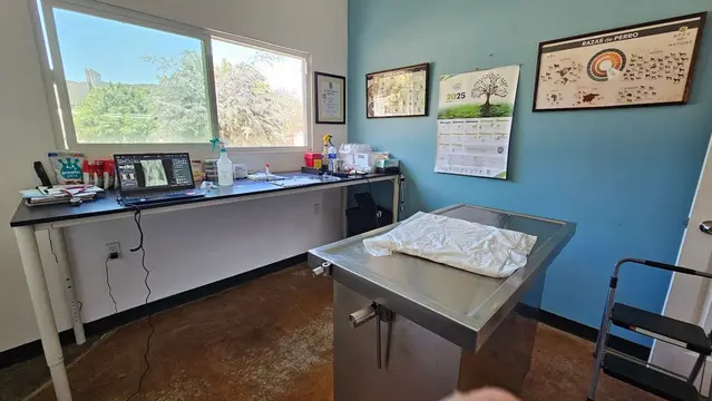 Un consultorio de pared azul con mesa de exploración de acero, escritorio largo junto a la ventana y cuadros en la pared