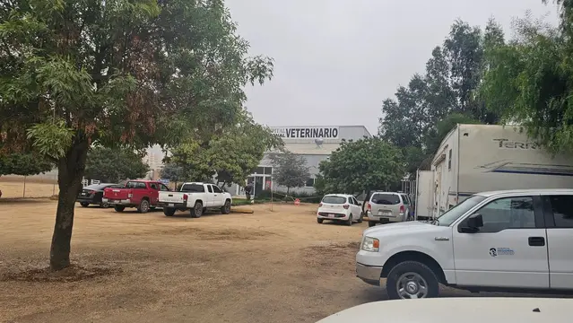 Otra vista del estacionamiento, con una camioneta blanca al frente