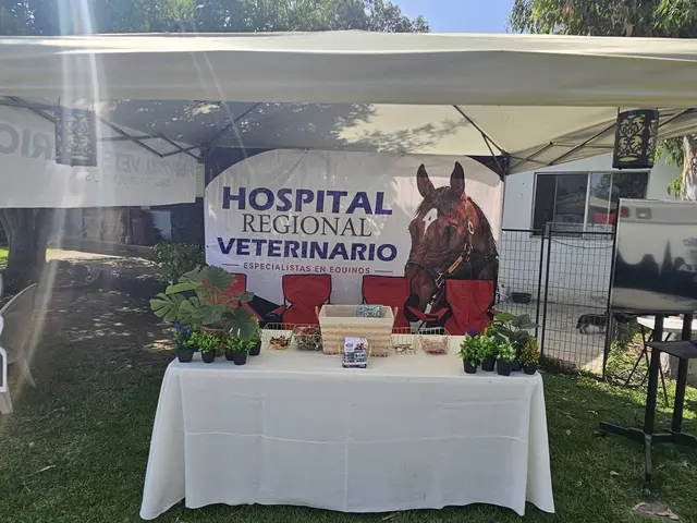 El stand del hospital en el XXXIII Clásico del Jockey Club: una lona con «Hospital Regional Veterinario, especialistas en equinos» y la foto de un caballo