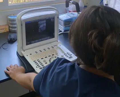 Una médica, de espaldas, frente a un equipo de ultrasonido portátil con un estudio en pantalla